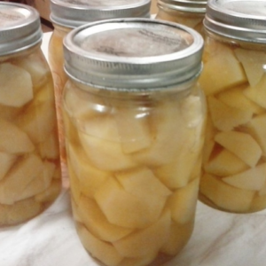 Canned Potatoes