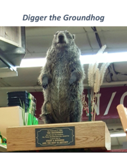 Digger the Groundhog